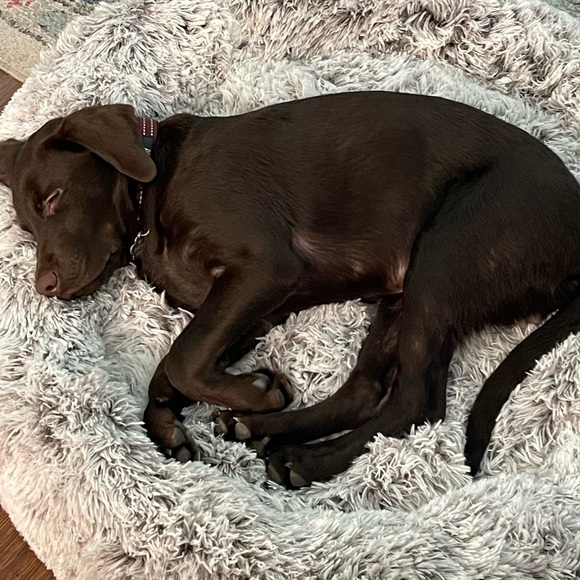 Meet your Posher, Tracie - Picture 4 of 9